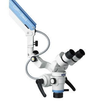 Endodontia