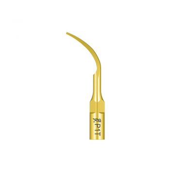 Woodpecker LED fogkőeltávolító fej
