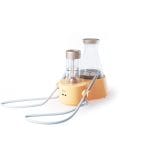 Detartráló és profilaktikai készülék 2 az 1-ben AP-B Woodpecker